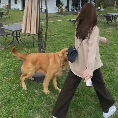 最后的日子